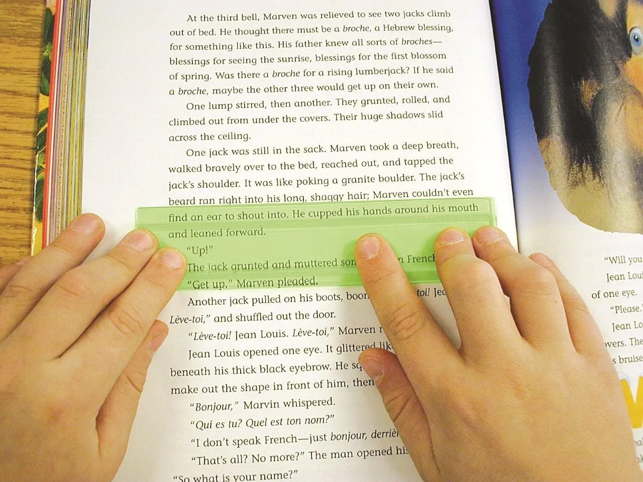The Eye Lighter (Reading Aid)